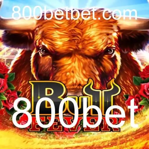 Mergulhe na Emoção do BullFever: O Jogo Que Está Conquistando