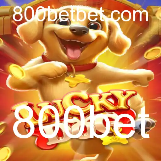 Explorando o Jogo LuckyDog: Regras e Estratégias em 800bet