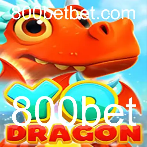 YoDragon: Descubra o Empolgante Jogo de Apostas com 800bet